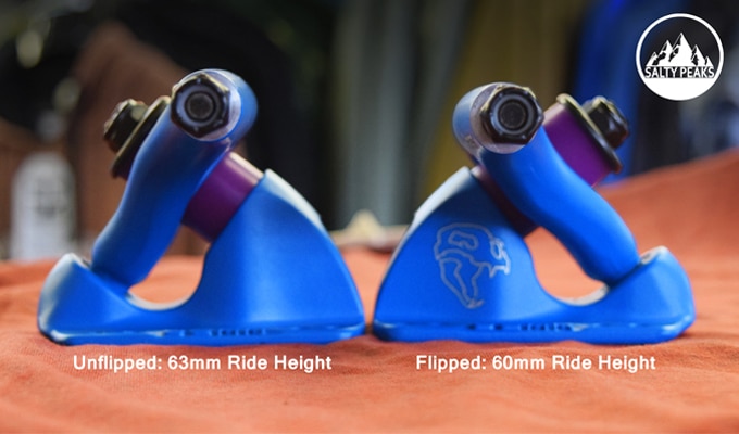 Bear-Grizzlies-Gen-5-Longboard-Trucks-Review-Flipped