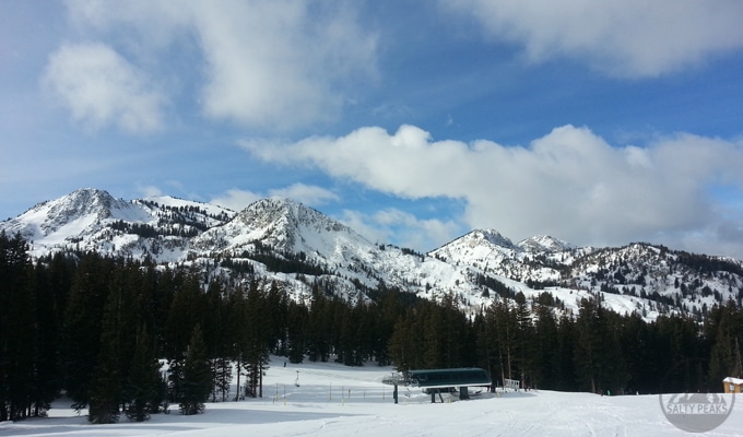 Snake-Creek-Express-at-Brighton-Resort