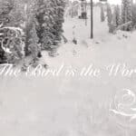 The bird is the word snowboard