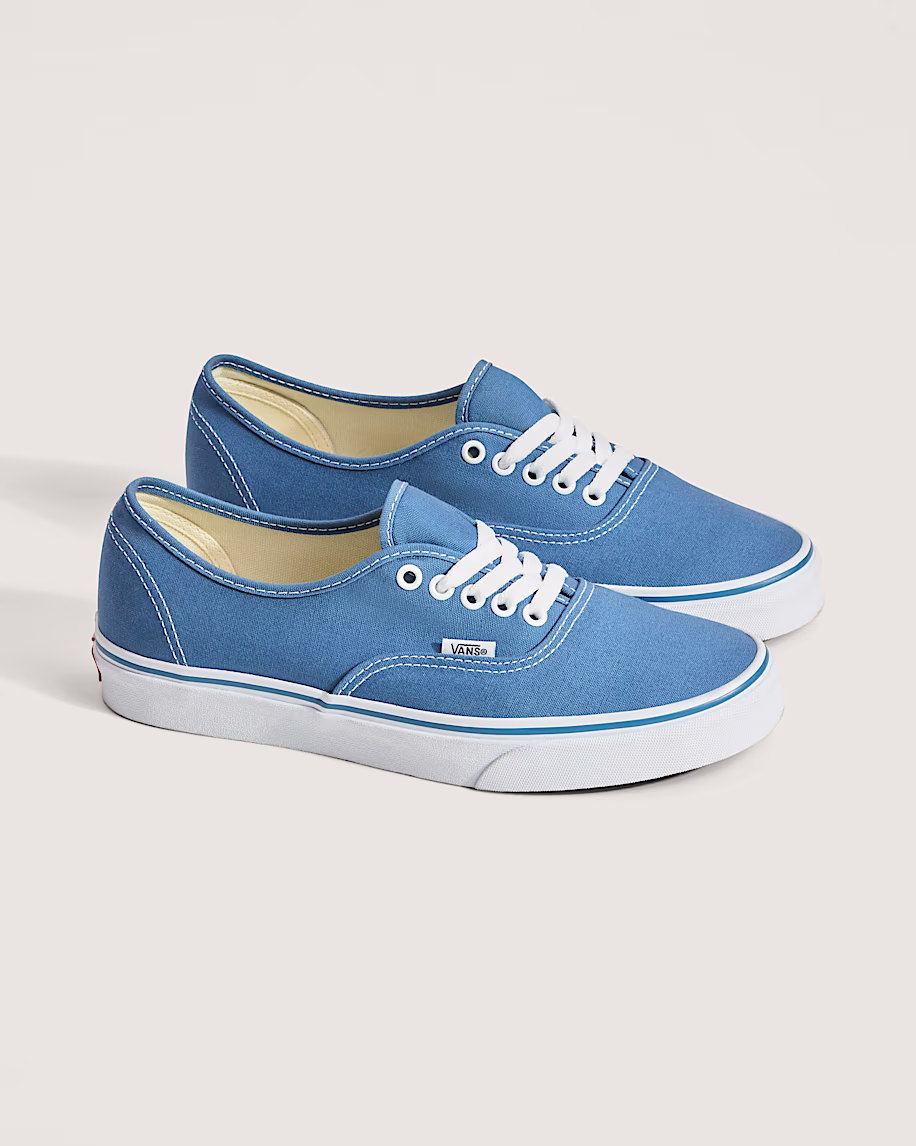 Authentic Shoe VANS Navy Blue ALT1
