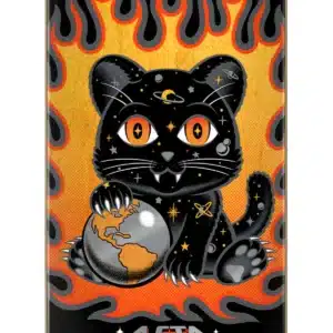 11117609 164952 85054 82in x 316in Asta Space Kitten Twin Pro Santa Cruz Skateboard Deck size 82inx316in 1800x